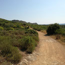 Montée dans les collines