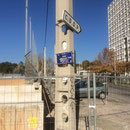 La rue Mahboubi-Tir, nom du célébre épicier du quartier !!