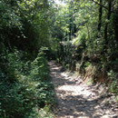 Forêt de Valbonne