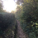 Dernier petit chemin pour rejoindre Aix en Provence