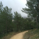 Le mont Puget dans la brume