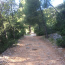 Beau chemin aménagé