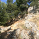 Beau chemin aménagé