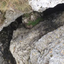 Attention de ne pas tomber dans la combe