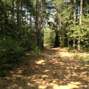 Chemin plat très agréable