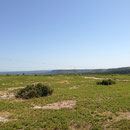 En haut de la corniche de Vitrolles