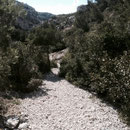 Chemin agréable et arboré