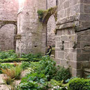 Im Klostergarten von Saint-Magloire in Léhon