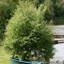 Lac de Bosméléac