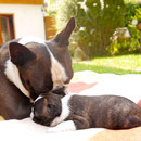 Vater und Sohn