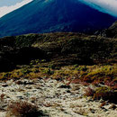 Mt Tongariro