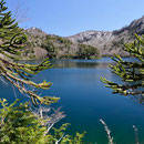 N.P. Huerquehue, Lago Verde