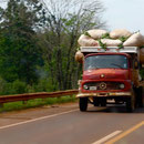 Truck mit Yerba Mate