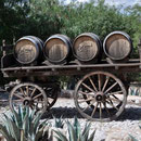 Bodega Colomé