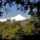 Sicht auf den Vulkan Villarrica auf der Wanderung im N.P. Huerquehue