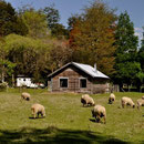 Idyllisches Campern