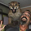Leider haben wir die Pumas nie im Freien angetroffen