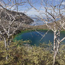 Lagune Tagus Cove
