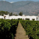 Bodega El Esteco, Cafayate