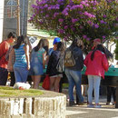 Döggele auf dem Dorfplatz in Ancud