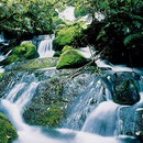 Te Urewera Nationalpark