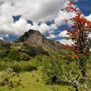N.P. Lanin