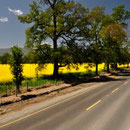 Frühling entlang unserer Route