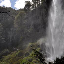 Cascadas N.P. Lanin