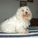 Malteser-Seniorin Sarah