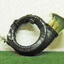 Fürst-Pless-Horn