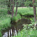 Grenzbach