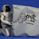 かばくん　ヘルメットカバー(静岡県S氏提供)