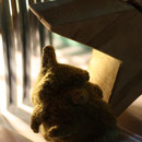 Holzstern von Gunter und gestrickter und gefilzter Tannenbaum