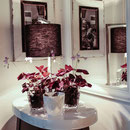 EDENliving Wohndesign Hamburg