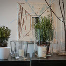 EDENliving Wohndesign Hamburg