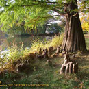 Greizer Park