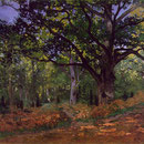 The Bodmer Oak, Fontainebleau Forest.
