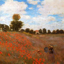 Rose Field Near Argenteuil.