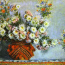 Chrysanthemums.