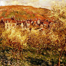 Apple Trees In Blossom.