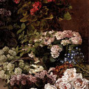 Spring Flowers.