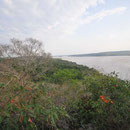 Rio Paranha