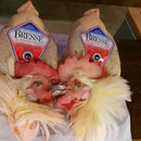 Le "Poulet de Bresse" 