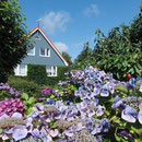 1852-2012 - 160 Jahre Tonnenhaus in Steenodde