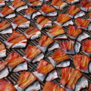 Fisch zum trocknen ausgelegt