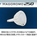 HAGOROMO 250