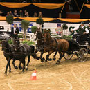 German Classics in Hannover - Vierspänner