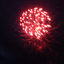 Blütenfest Dodow