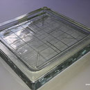 Seves  B 2020/2 PRISMA 20x20x2,2 Solaris Glass Blocks Pavers 200x200 Glassteine Glasstein Glasbausteine Glasbaustein  Begehbar golvplattor konkreta glasögon España Baldosas Vidro vasos de hormigón baldosas de vidrio Portugal Pavimentos de blocos de vidro 