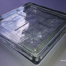 Seves Vollglas Betongläser B 2020/2 PRISMA 20x20x2,2 Solaris Glass Blocks Pavers France Briques de verre pavés  Danmark Glas blokke  Österreich Schweiz Luxemburg NL Nederland Glazen blokken  Bouwstenen Tiles België  Belgique straatstenen Paneele Glasdecke